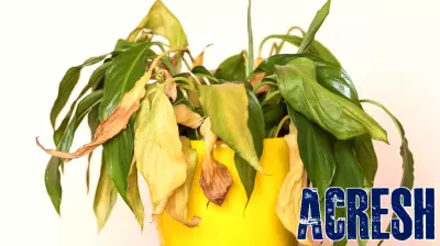 Alexandria Real Estate: My Plan To Wait It Out Fell Apart